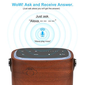 Alexa Wood Speaker
