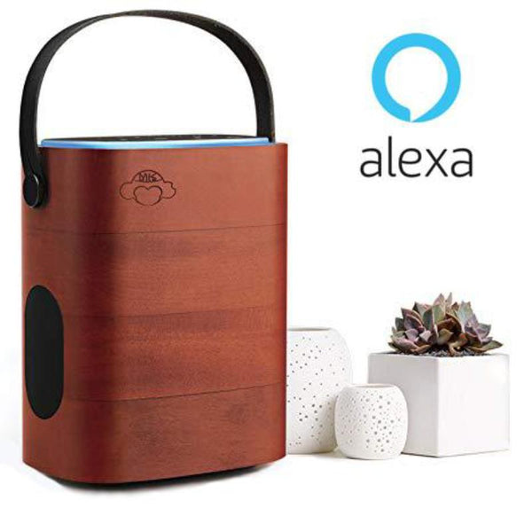 Alexa Wood Speaker