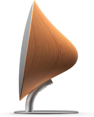 Solo Speaker